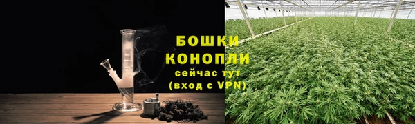 ГАЛЛЮЦИНОГЕННЫЕ ГРИБЫ Надым