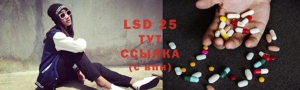 ГАЛЛЮЦИНОГЕННЫЕ ГРИБЫ Надым