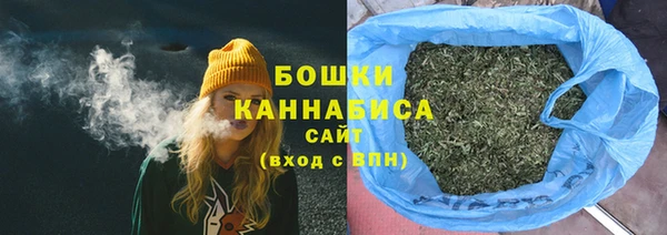 ГАЛЛЮЦИНОГЕННЫЕ ГРИБЫ Надым
