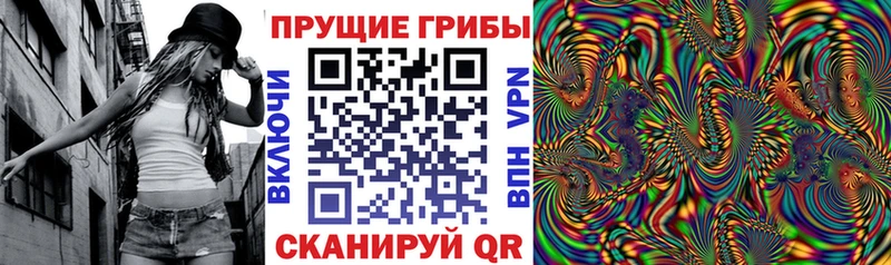 Псилоцибиновые грибы Psilocybe  Купить где  Лагань 